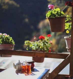 صبحتون بخیر